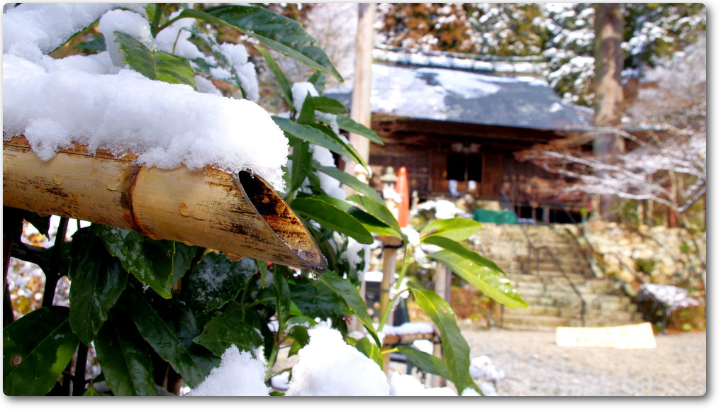 大國寺アルバム 大國寺アルバム