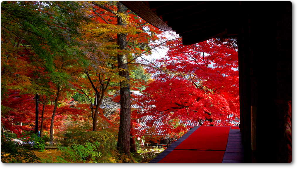 大國寺アルバム 大國寺アルバム