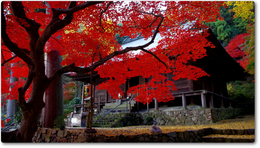 大國寺アルバム 大國寺アルバム