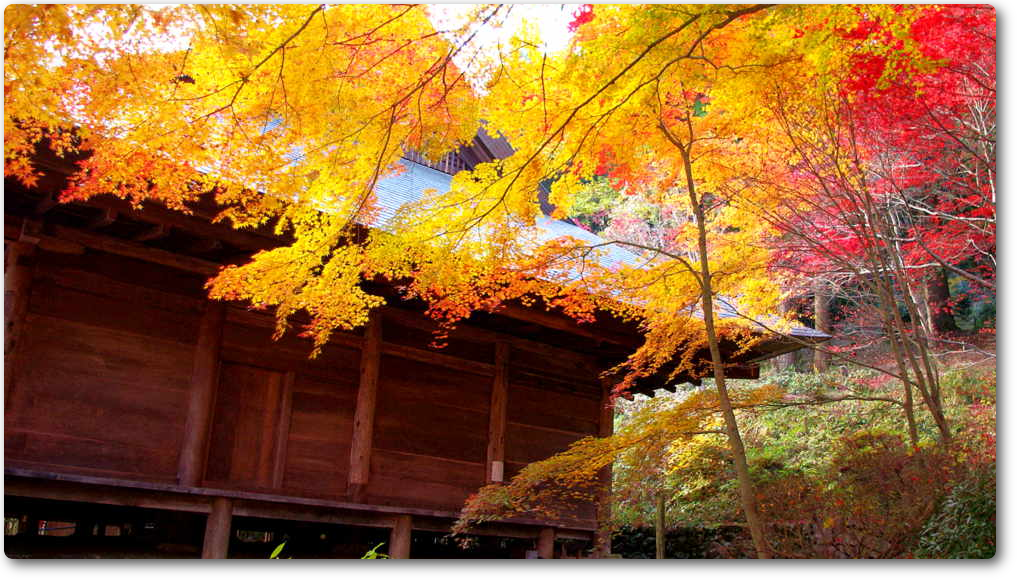 Daikokuji Temple Daikokuji Temple