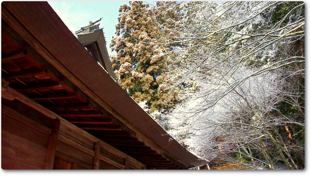 Daikokuji Temple Daikokuji Temple
