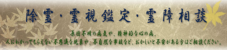 画像の説明 画像の説明